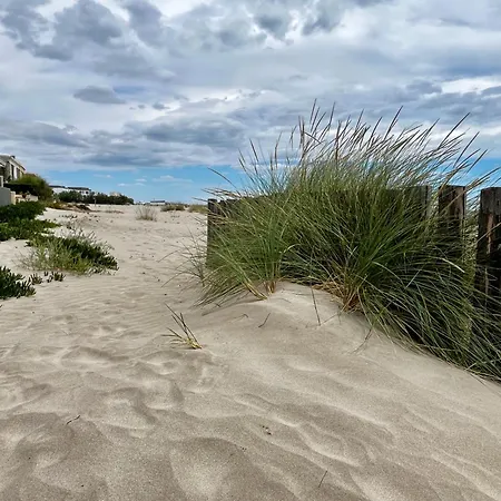 Les Sables De Palavas - T2 A 50M De La Plage - Clim, Wifi Esterno foto